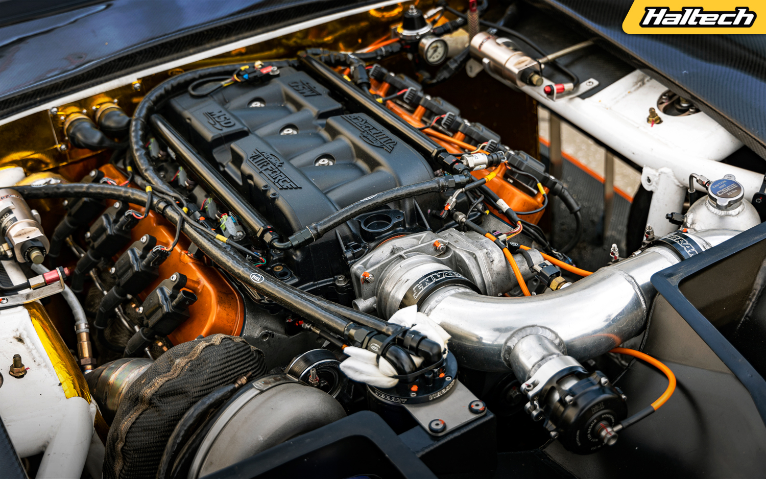 Shawn Bassett and his Full Carbon 240Z - Haltech